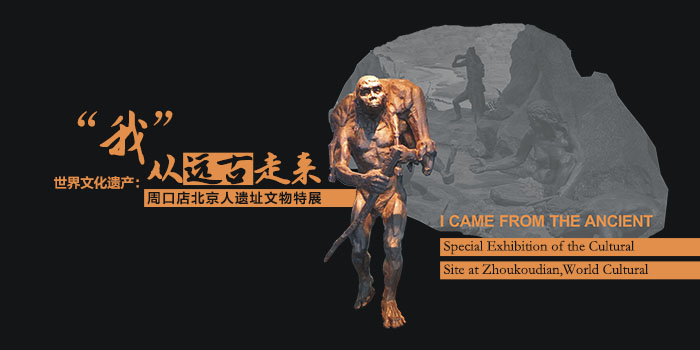 周口店北京人700.jpg